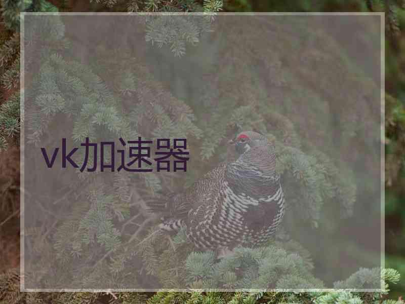 vk加速器