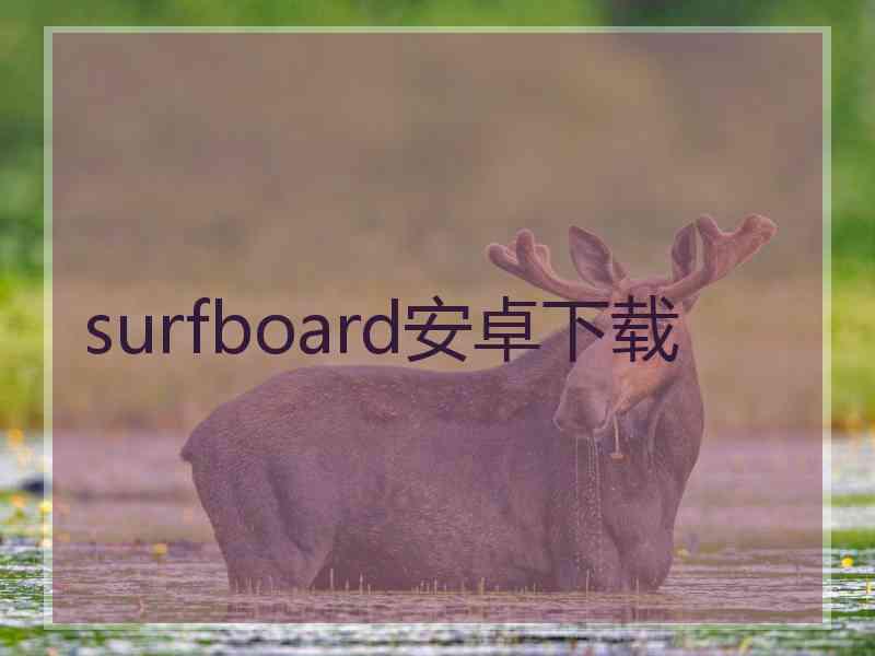 surfboard安卓下载