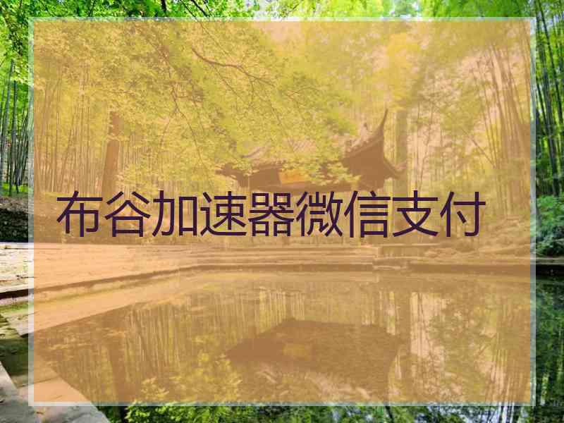 布谷加速器微信支付