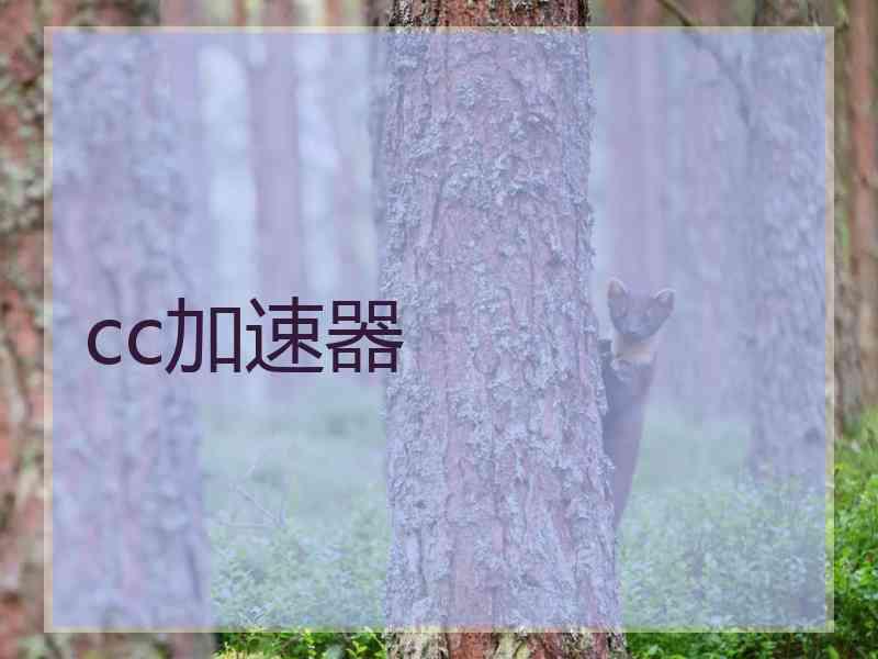 cc加速器