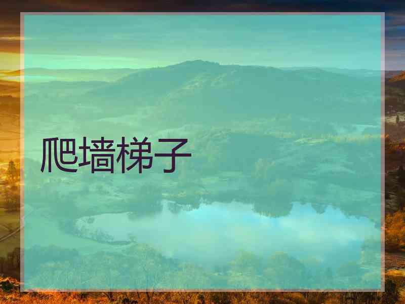 爬墙梯子