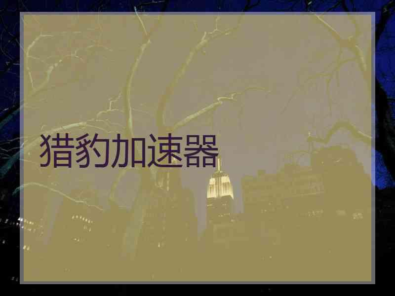 猎豹加速器