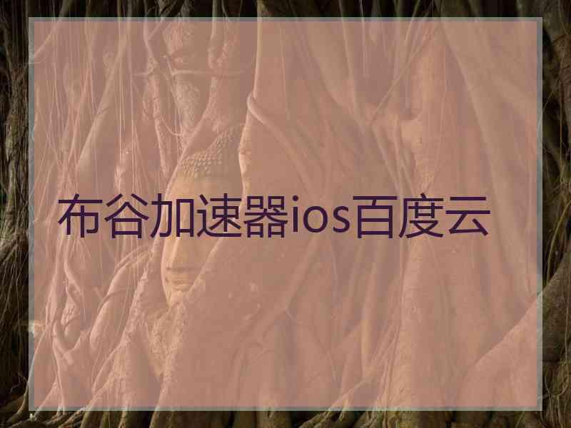 布谷加速器ios百度云