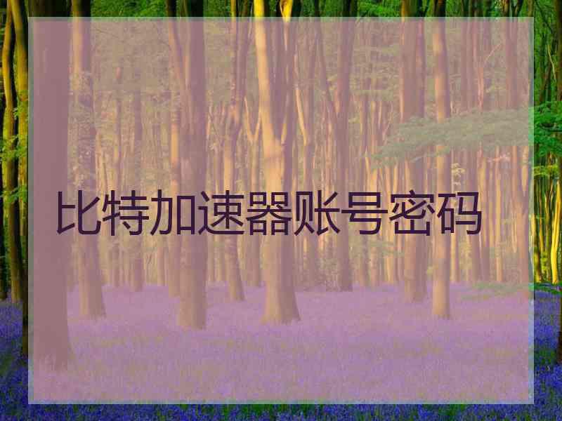 比特加速器账号密码