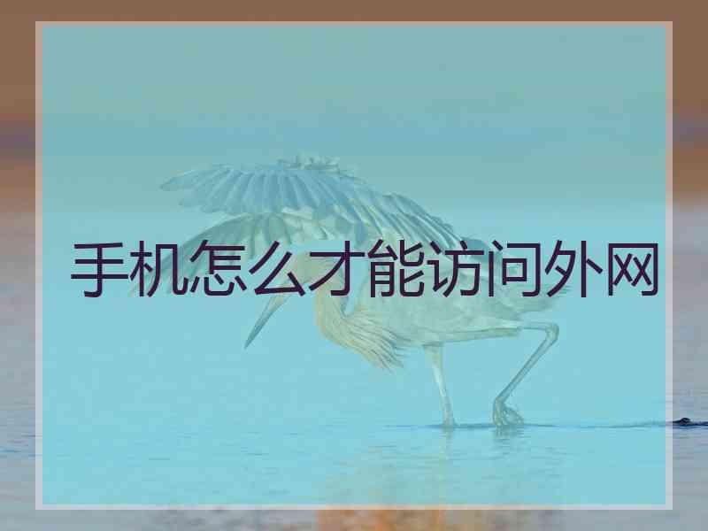手机怎么才能访问外网