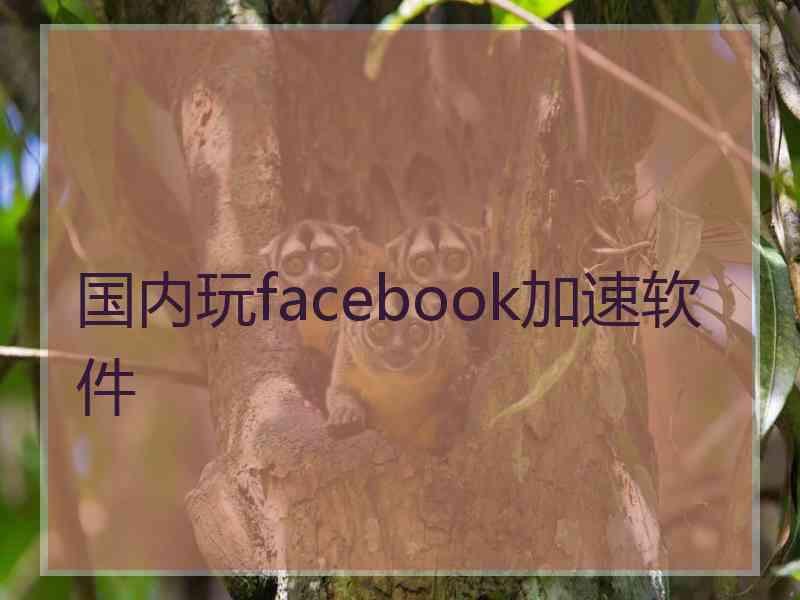 国内玩facebook加速软件