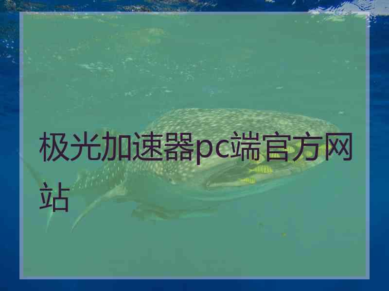 极光加速器pc端官方网站