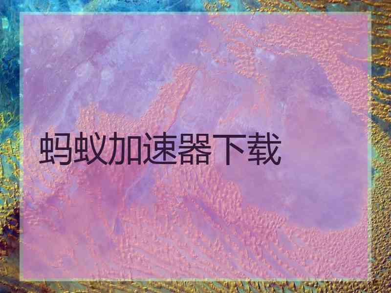 蚂蚁加速器下载