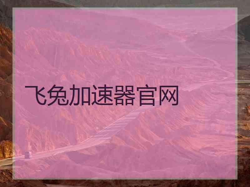 飞兔加速器官网