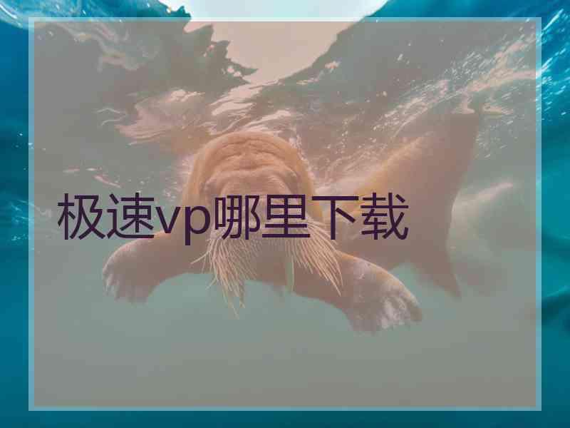 极速vp哪里下载
