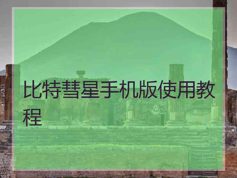 比特彗星手机版使用教程