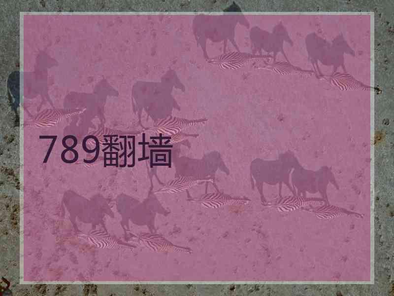 789翻墙