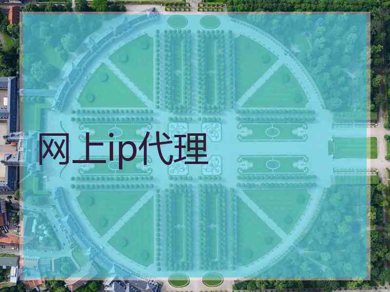 网上ip代理