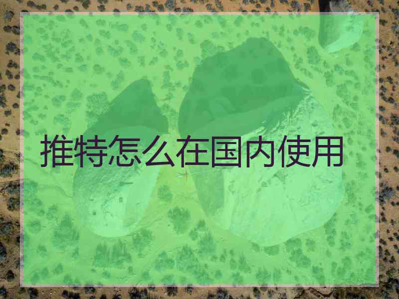 推特怎么在国内使用