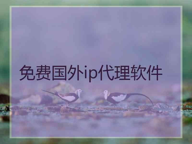 免费国外ip代理软件
