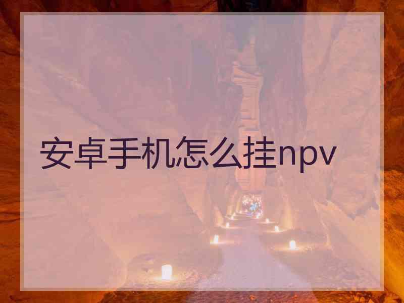 安卓手机怎么挂npv