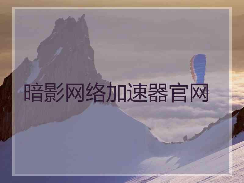 暗影网络加速器官网