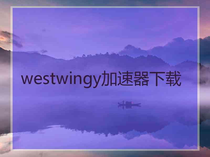 westwingy加速器下载