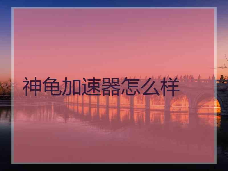 神龟加速器怎么样