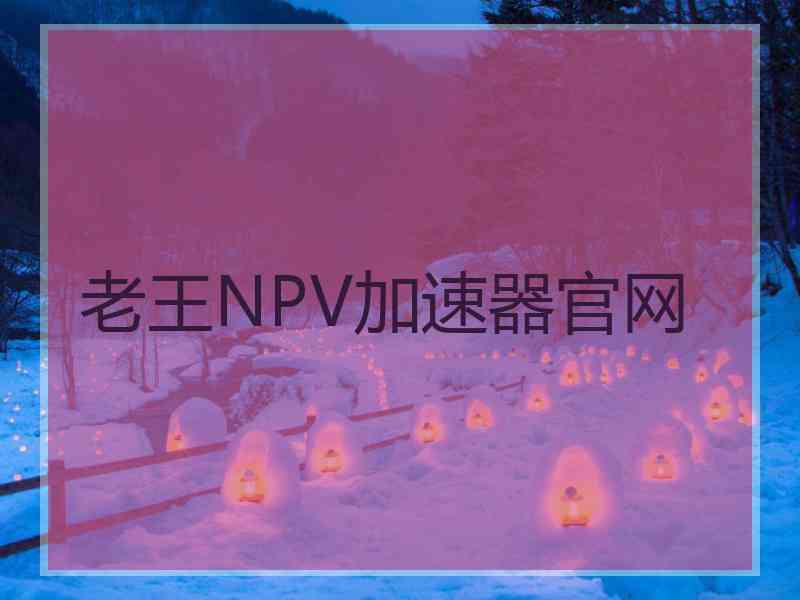 老王NPV加速器官网