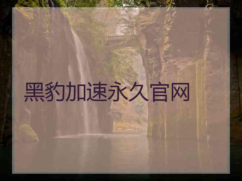 黑豹加速永久官网