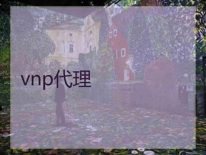 vnp代理