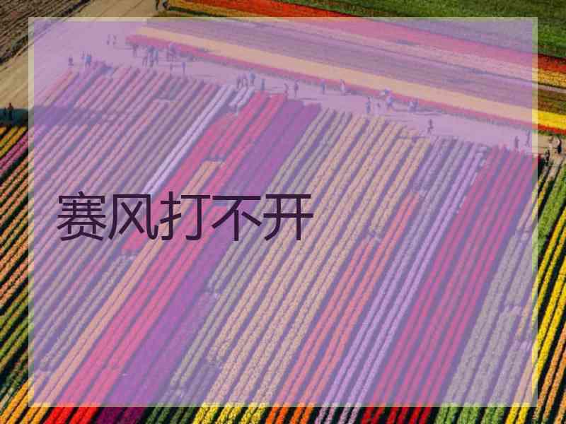 赛风打不开
