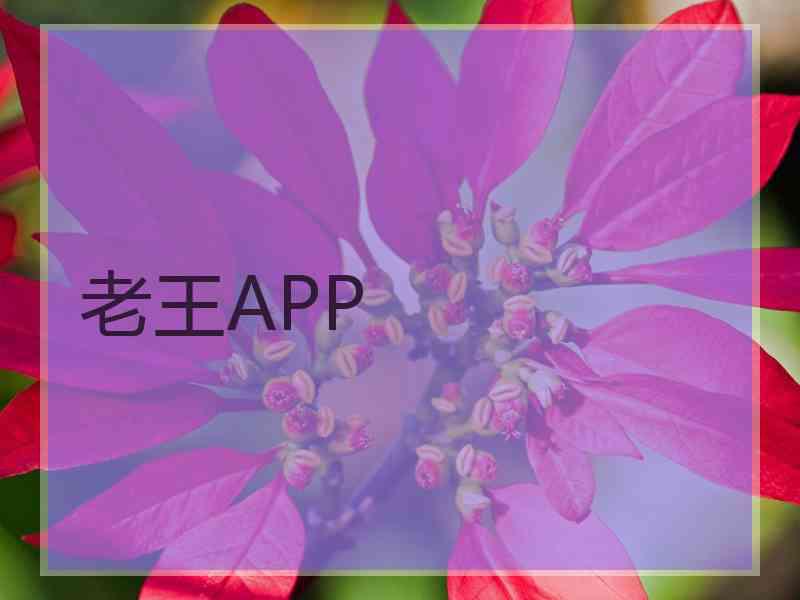 老王APP