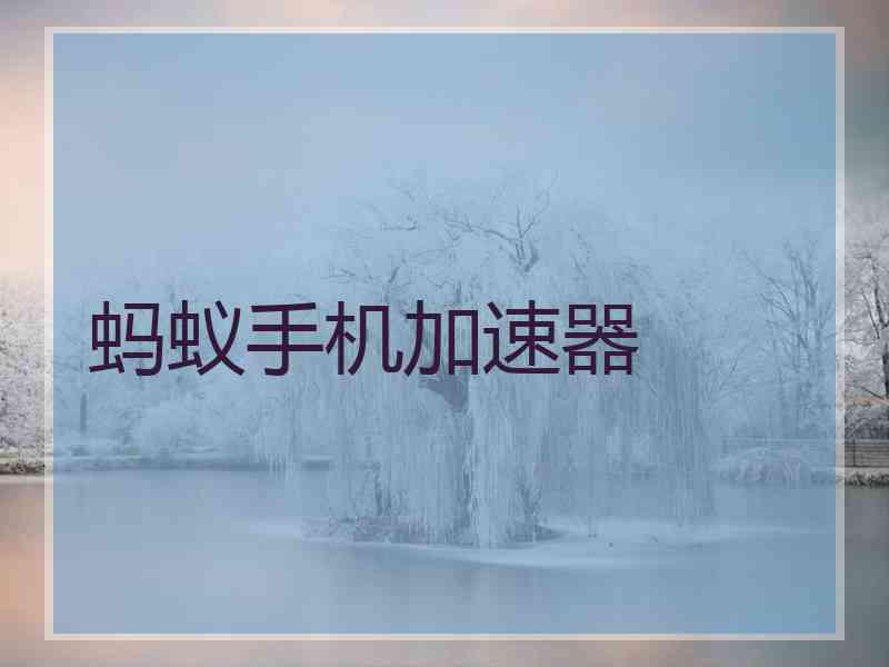 蚂蚁手机加速器