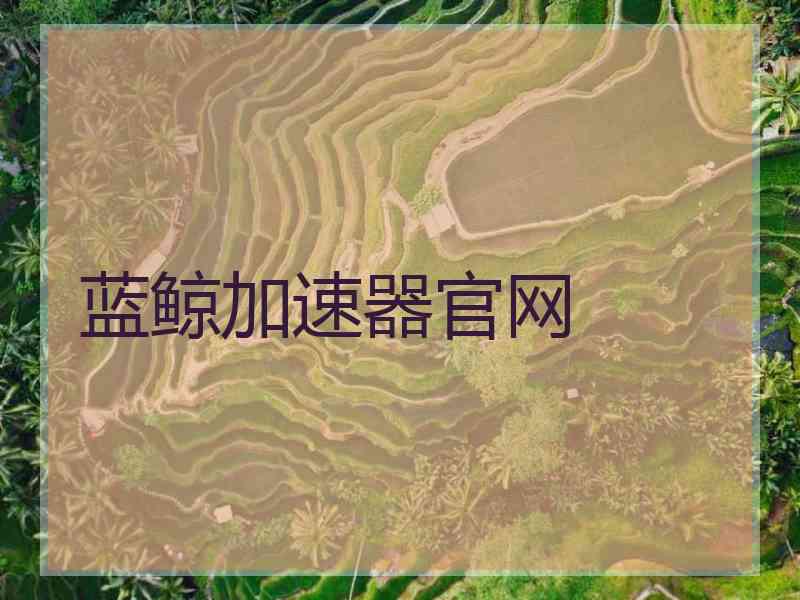 蓝鲸加速器官网
