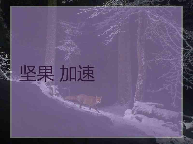 坚果 加速