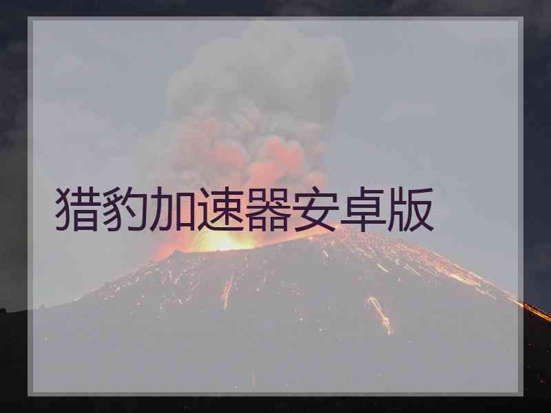 猎豹加速器安卓版