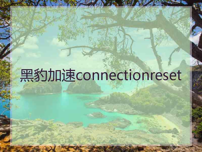 黑豹加速connectionreset