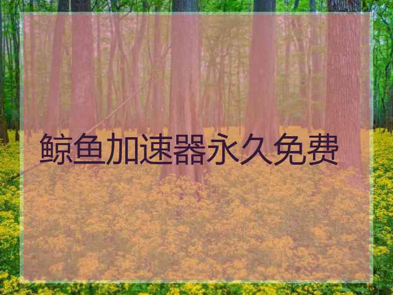 鲸鱼加速器永久免费