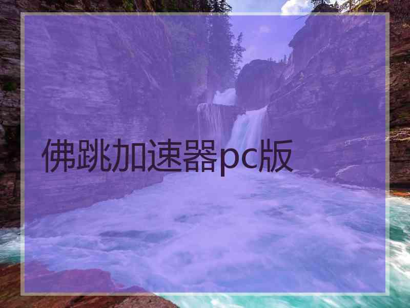 佛跳加速器pc版