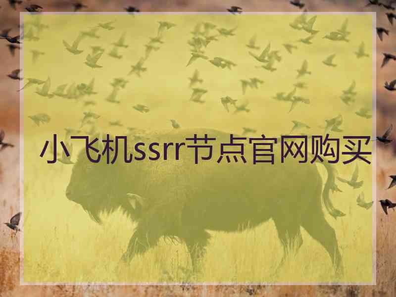 小飞机ssrr节点官网购买