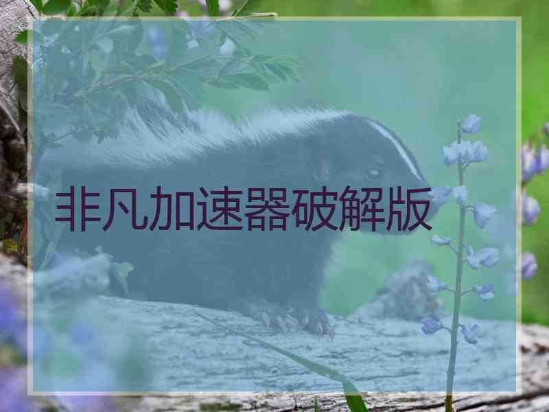 非凡加速器破解版