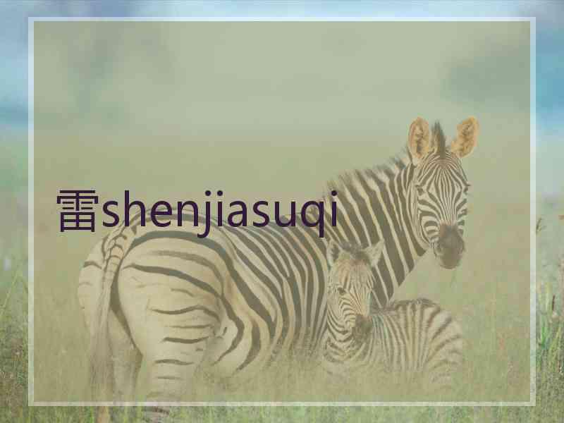 雷shenjiasuqi