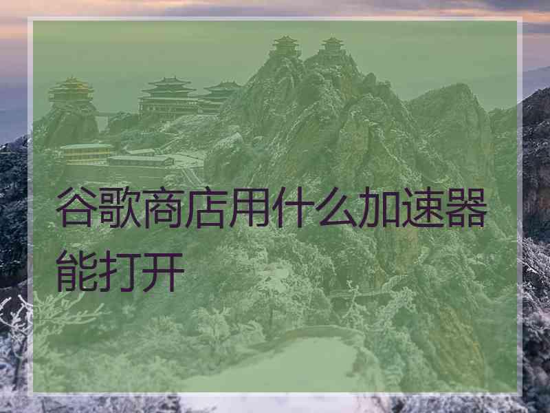 谷歌商店用什么加速器能打开