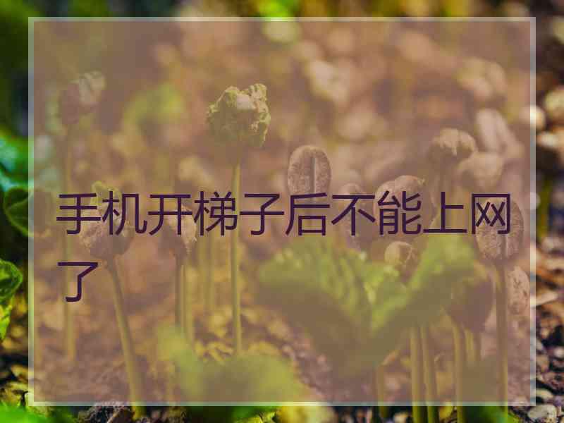 手机开梯子后不能上网了