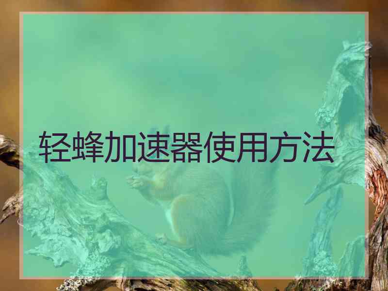 轻蜂加速器使用方法