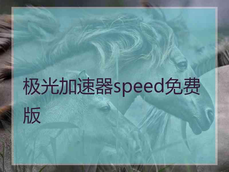 极光加速器speed免费版