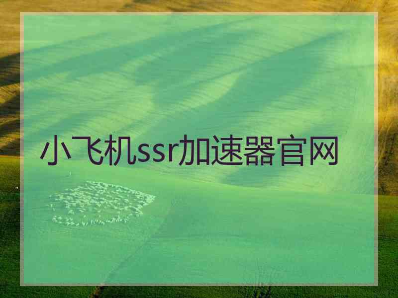 小飞机ssr加速器官网