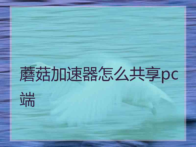 蘑菇加速器怎么共享pc端