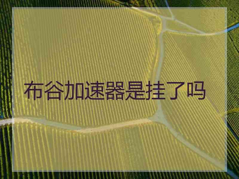 布谷加速器是挂了吗