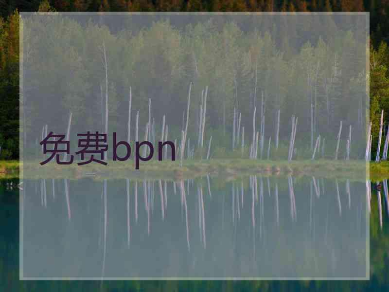 免费bpn