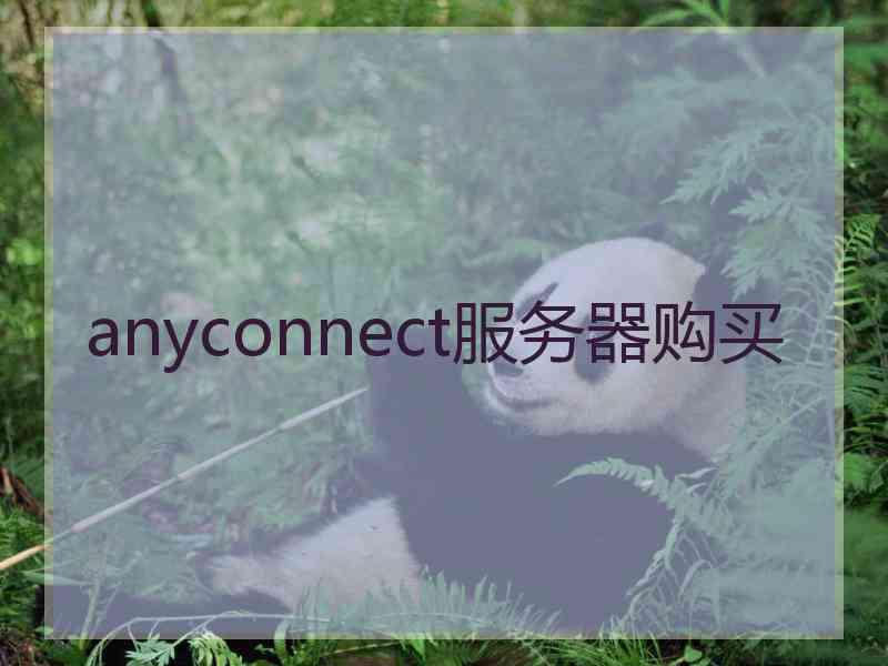 anyconnect服务器购买