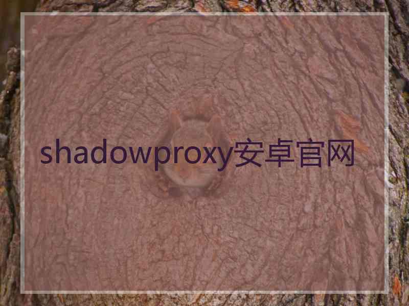 shadowproxy安卓官网