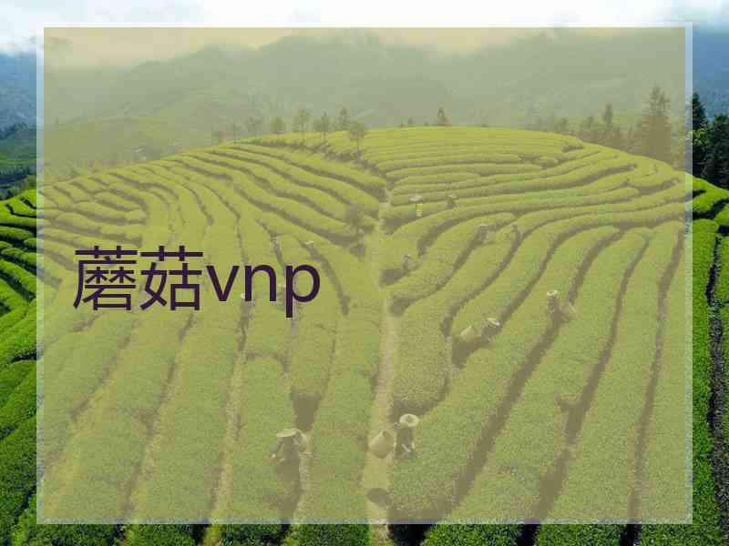 蘑菇vnp