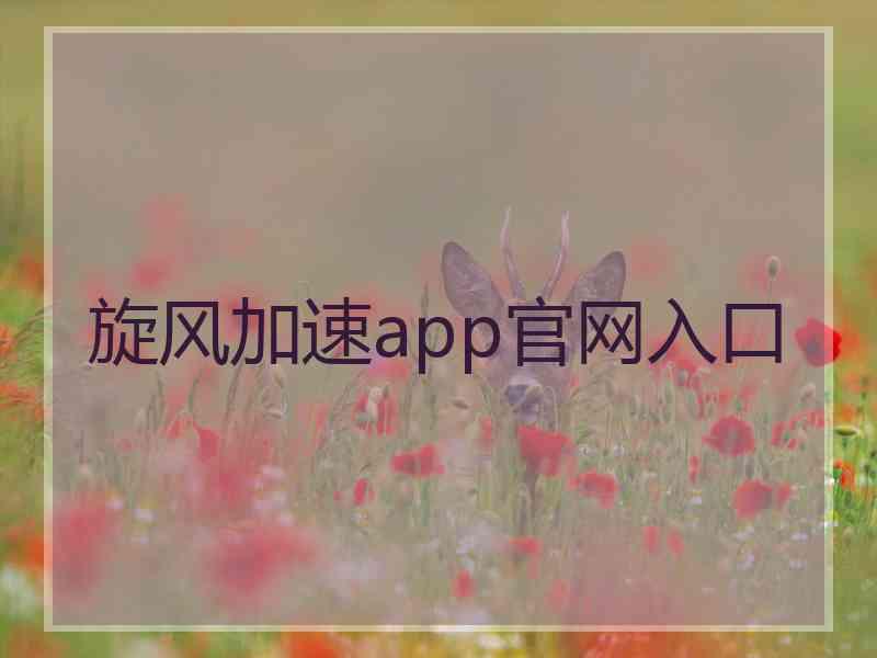 旋风加速app官网入口